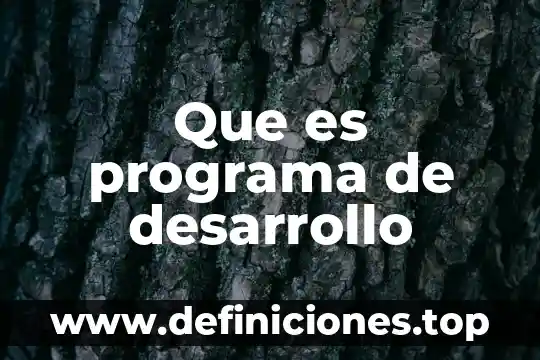 Que es un programa de motivacion laboral 5 Que es programa de desarrollo