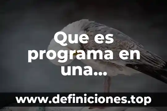 Que es un programa de motivacion laboral 4 Que es programa en una capacitacion