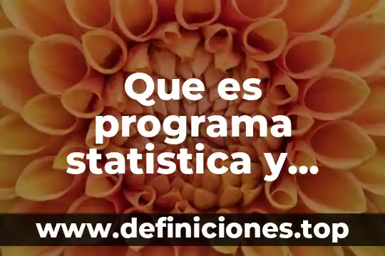 Que es programa statistica y para que sirve