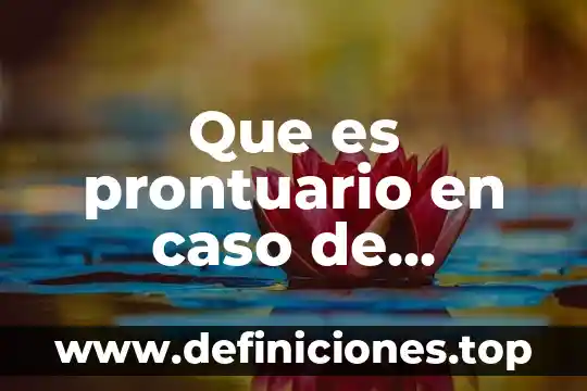 Que es un caso de uso guiaod 3 Que es prontuario en caso de accidente