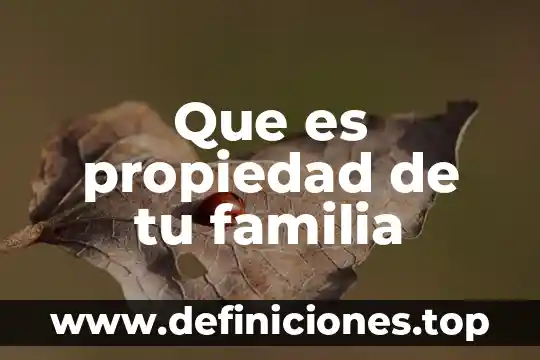 Que es ser dejado por tu novio 3 Que es propiedad de tu familia