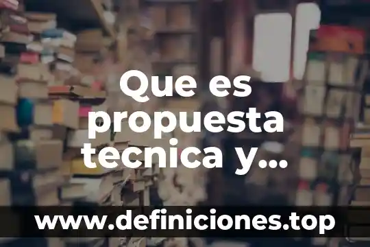 Que es un propuesta de valor para un discapacitado 3 Que es propuesta tecnica y economica de una licitacion