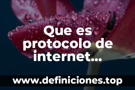 Qué es un hecho sincrónico y ejemplos 3 Que es protocolo de internet ejemplos