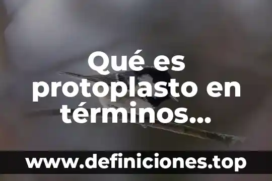 Que es el sol en terminos de sustancias dispersas 7 Qué es protoplasto en términos científicos