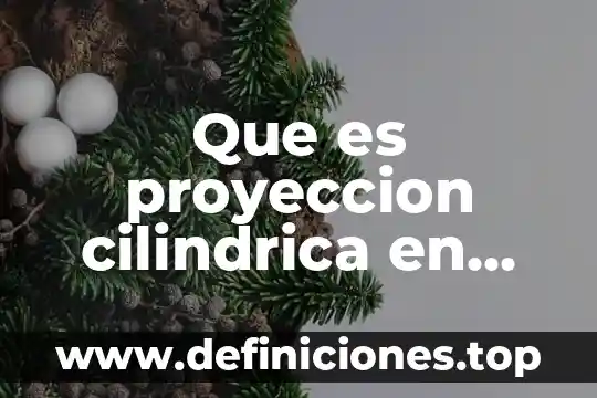 Que es una proyeccion financiera de costos y gastos 8 Que es proyeccion cilindrica en arquitectura