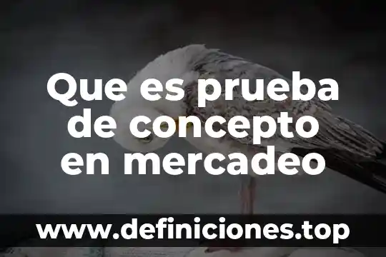 Que es prueba de concepto en mercadeo