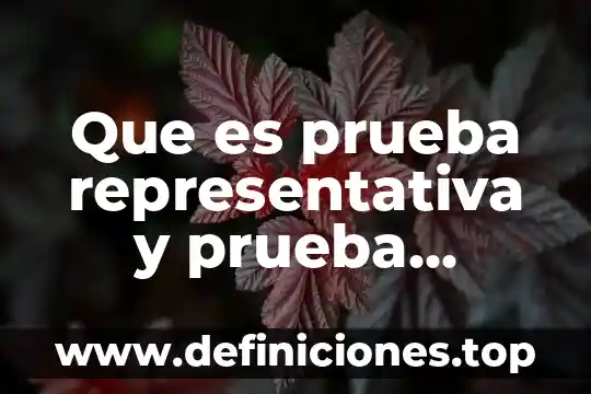Qué es la democracia representativa en México 4 Que es prueba representativa y prueba predictiva
