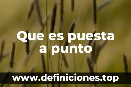 Que es la puesta a punto en el entrenamiento físico 5 Que es puesta a punto