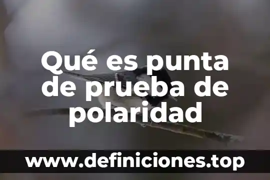 Qué es punta de prueba de polaridad