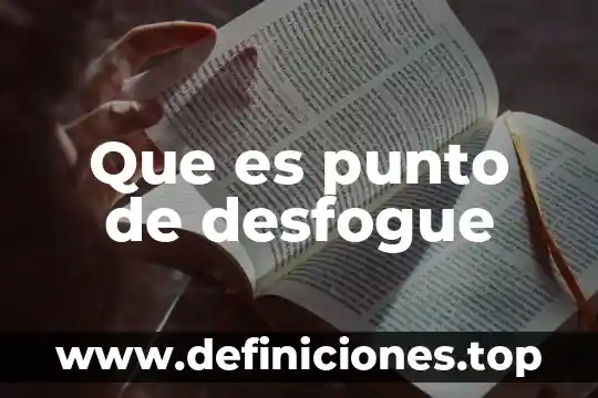 Que es la ecologia en un punto de vista ecologico 6 Que es punto de desfogue