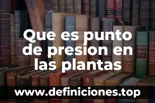 Que es el carpelo en las plantas 3 Que es punto de presion en las plantas