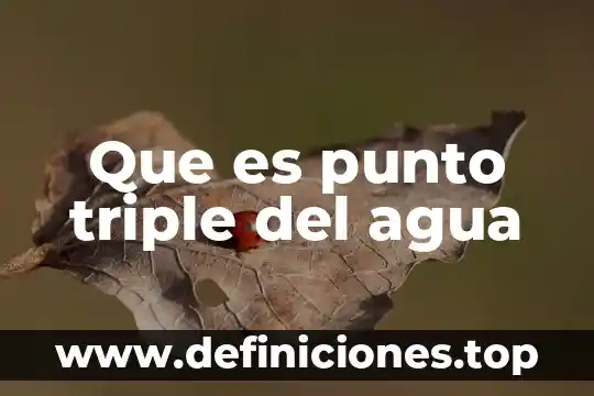 Que es punto triple del agua