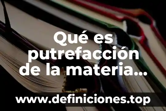 Que es un mashup en ingles 5 Qué es putrefacción de la materia orgánica