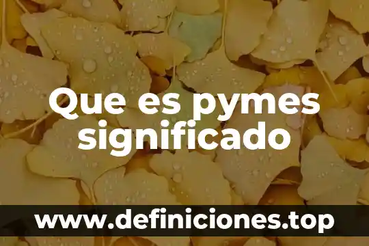 Qué es QUID significado 3 Que es pymes significado