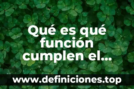 Pulcritud significado 8 Qué es qué función cumplen el significado y significante