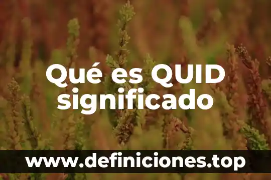Que es yertos significado 6 Qué es QUID significado