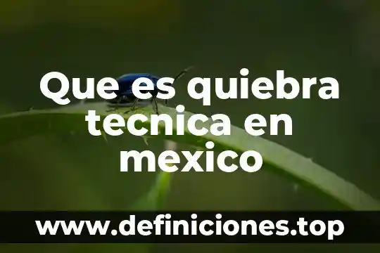 Que es la tecnica de paisajes en niños 8 Que es quiebra tecnica en mexico