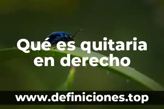 Que es costumbre en derecho ejemplo 6 Qué es quitaria en derecho