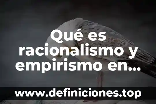 Qué es el Organon de la filosofía 6 Qué es racionalismo y empirismo en filosofía