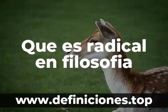 Que es radical en filosofia