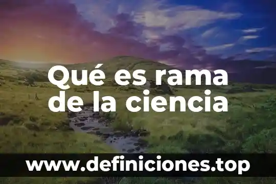 Que es la rama terminal y la rama colateral anatomia 8 Qué es rama de la ciencia