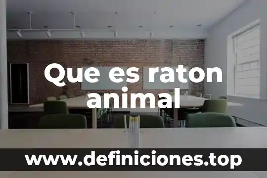 Que es raton animal