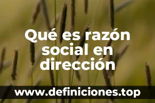 Que es la razon en filosofia segun educacion 6 Qué es razón social en dirección