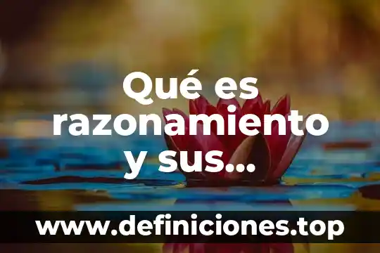 Razonamiento lógico que es 3 Qué es razonamiento y sus elementos