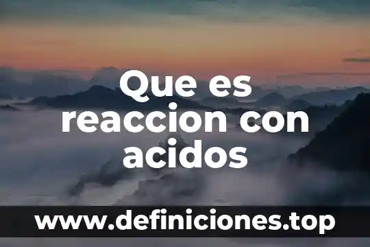Qué es ácidos nucleicos 4 Que es reaccion con acidos