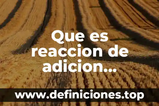 Que es comando anter 4 Que es reaccion de adicion ejemplo