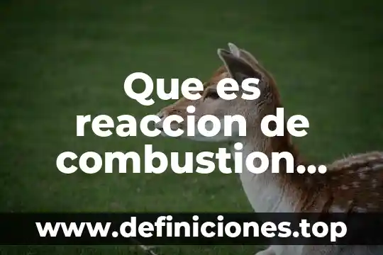 Que es reaccion de combustion yahoo