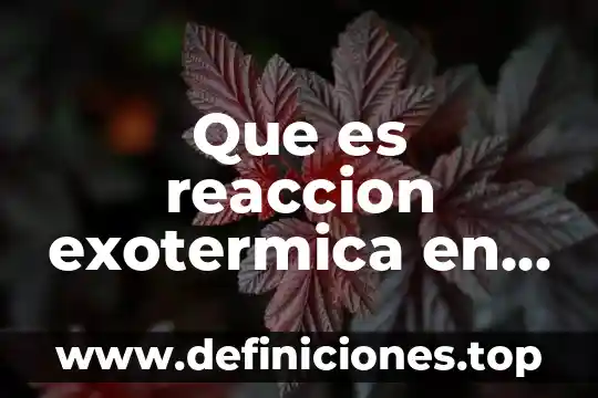 Que es reaccion exotermica en quimica