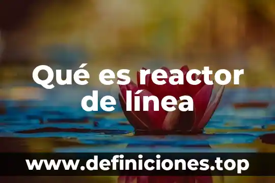 Que es una linea de tiempo de una persona 7 Qué es reactor de línea