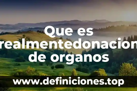 Parenquima órganos que es 4 Que es realmentedonacion de organos