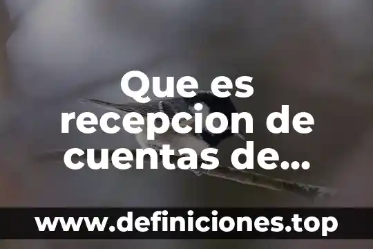 Que es recepcion de cuentas de operador
