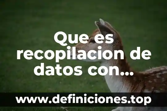 Que es la recopilacion de datos de las estructuras organizacionales 5 Que es recopilacion de datos con autor