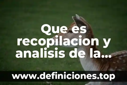 Que es la recopilacion de datos de las estructuras organizacionales 3 Que es recopilacion y analisis de la informacion