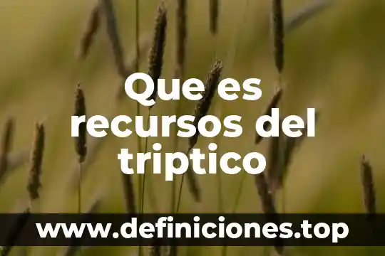 Que es el medio ambiente triptico 6 Que es recursos del triptico