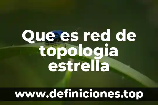 Que es red de topologia estrella
