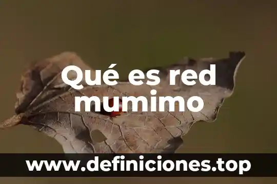 Qué es la sumarización automática de la red 4 Qué es red mumimo