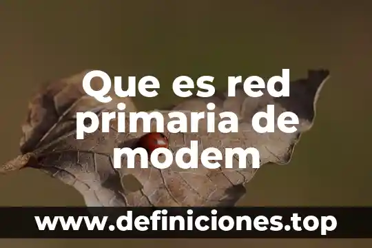 Que es un cartel para exposicionpara niños de primaria 5 Que es red primaria de modem