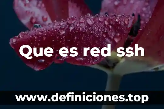 Qué es un protocolo de red físico 5 Que es red ssh