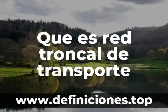 Que es numero de agente en transporte aereo 3 Que es red troncal de transporte