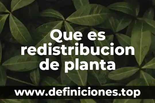 Que es una planta autógama 5 Que es redistribucion de planta