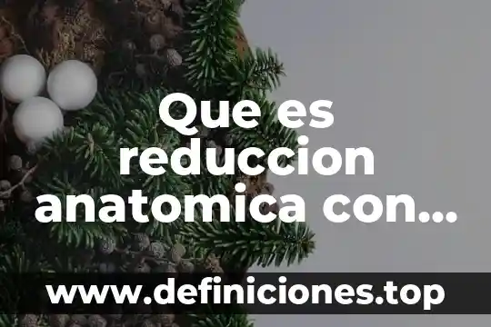 Qué es fijación mecanismo de defensa 5 Que es reduccion anatomica con fijacion interna
