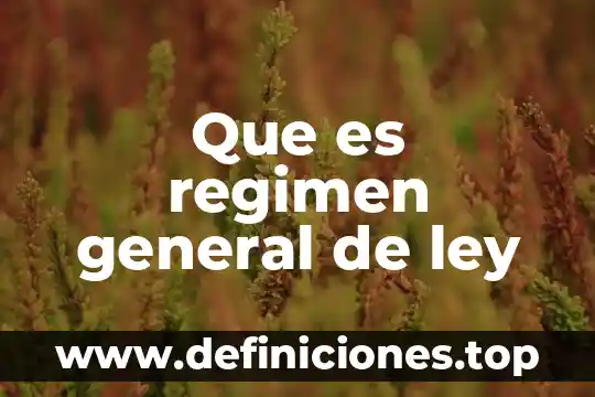 Régimen general de ley que es 7 Que es regimen general de ley