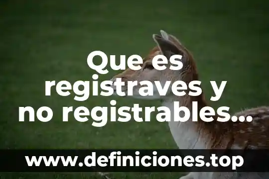 Que es registraves y no registrables en derecho
