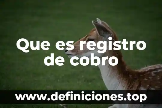 Que es un registro de oportinidada 5 Que es registro de cobro