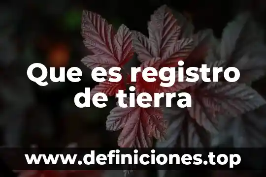 Que es un registro de oportinidada 7 Que es registro de tierra