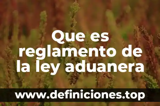 Que es reglamento de la ley aduanera